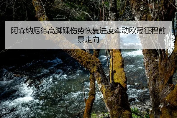 阿森纳厄德高脚踝伤势恢复进度牵动欧冠征程前景走向